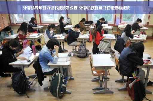 计算机专项能力证书成绩怎么查-计算机技能证书在哪查看成绩