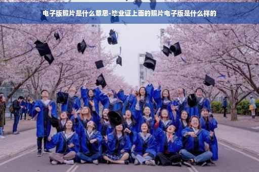 电子版照片是什么意思-毕业证上面的照片电子版是什么样的
