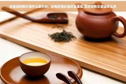 毕业证的照片是什么底的啊，白色还是红色还是蓝色,军校没有毕业证怎么办