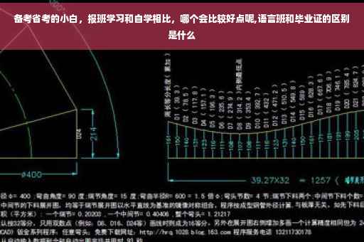 备考省考的小白，报班学习和自学相比，哪个会比较好点呢,语言班和毕业证的区别是什么