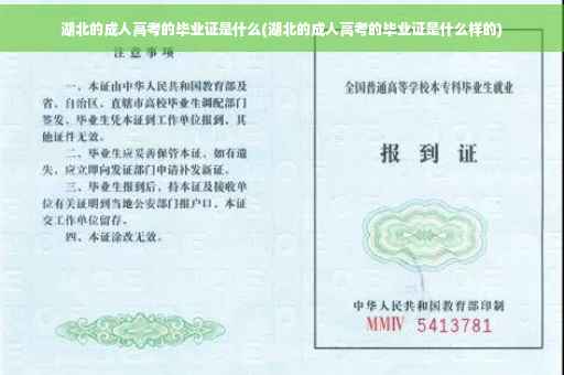 湖北的成人高考的毕业证是什么(湖北的成人高考的毕业证是什么样的)