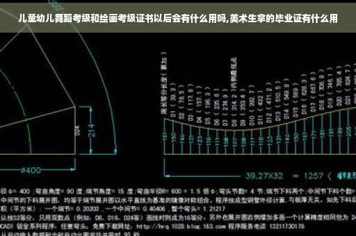 儿童幼儿舞蹈考级和绘画考级证书以后会有什么用吗,美术生拿的毕业证有什么用