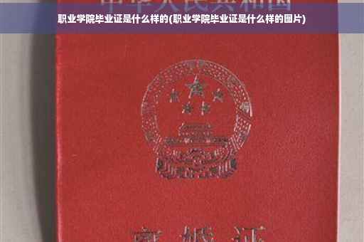 职业学院毕业证是什么样的(职业学院毕业证是什么样的图片)
