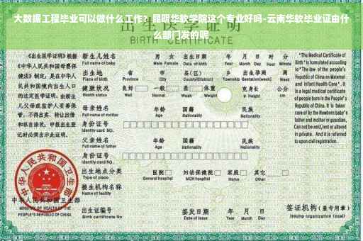 大数据工程毕业可以做什么工作？昆明华软学院这个专业好吗-云南华软毕业证由什么部门发的呢