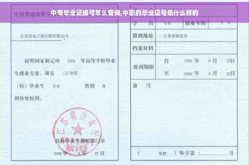 中专毕业证编号怎么查询,中职的毕业证号是什么样的