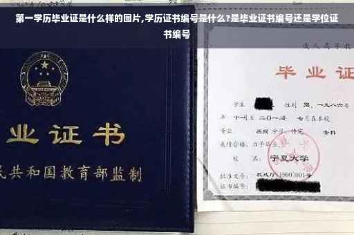 第一学历毕业证是什么样的图片,学历证书编号是什么?是毕业证书编号还是学位证书编号