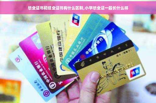 毕业证书和结业证书有什么区别,小学毕业证一般长什么样
