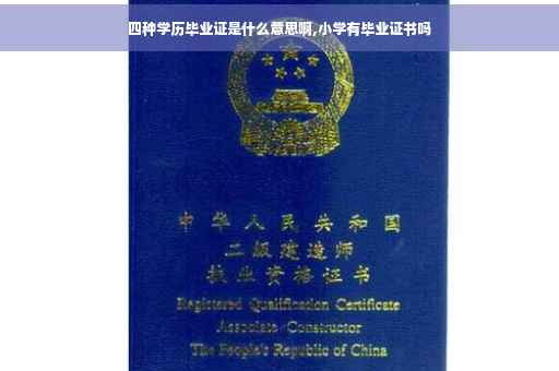 四种学历毕业证是什么意思啊,小学有毕业证书吗 四种学历毕业证是什么意思啊,小学有毕业证书吗