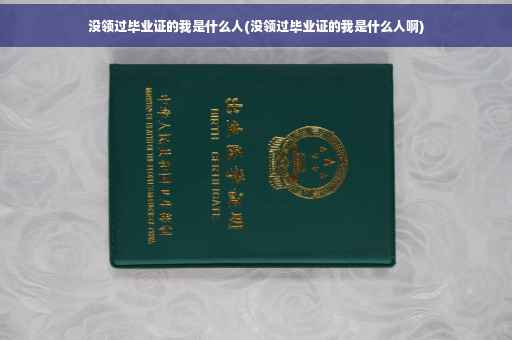 没领过毕业证的我是什么人(没领过毕业证的我是什么人啊)
