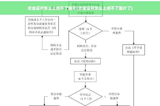 毕业证书怎么上传不了图片(毕业证书怎么上传不了图片了)