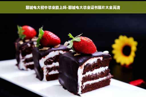 聊城电大初中毕业能上吗-聊城电大毕业证书图片大全高清