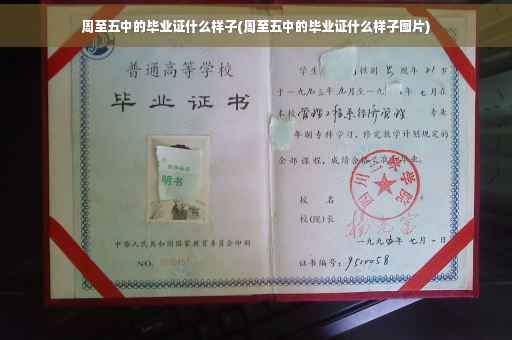 周至五中的毕业证什么样子(周至五中的毕业证什么样子图片)
