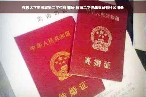 在校大学生考取第二学位有用吗-有第二学位毕业证有什么用处
