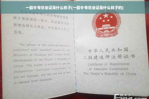 一般中专毕业证是什么样子(一般中专毕业证是什么样子的)