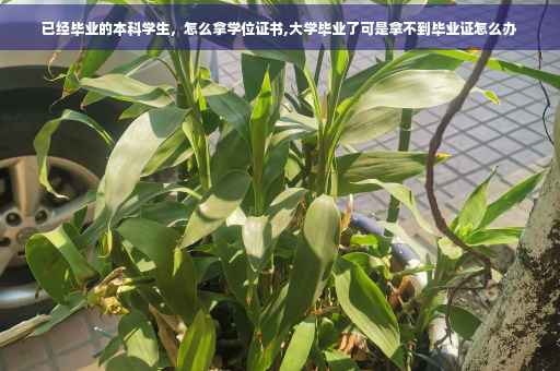 已经毕业的本科学生，怎么拿学位证书,大学毕业了可是拿不到毕业证怎么办