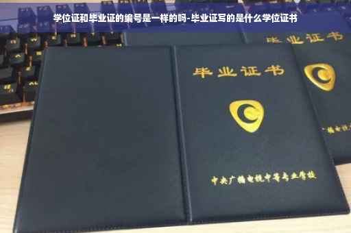 学位证和毕业证的编号是一样的吗-毕业证写的是什么学位证书