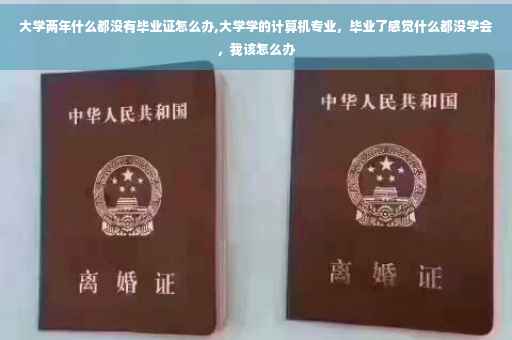 大学两年什么都没有毕业证怎么办,大学学的计算机专业，毕业了感觉什么都没学会，我该怎么办