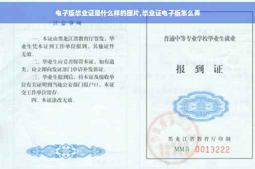 电子版毕业证是什么样的图片,毕业证电子版怎么弄