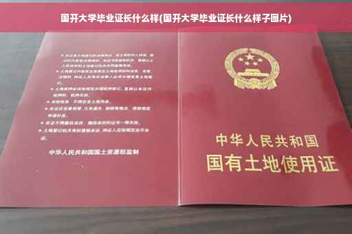 国开大学毕业证长什么样(国开大学毕业证长什么样子图片)