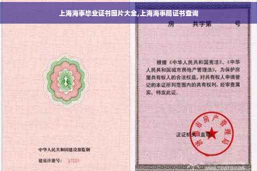 上海海事毕业证书图片大全,上海海事局证书查询