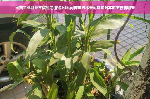 河南工业职业学院到底值得上吗,河南省艺术类可以专升本的学校有哪些