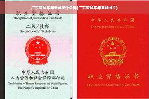 广东专插本毕业证发什么样(广东专插本毕业证图片)