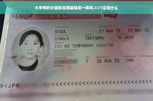 大学考的计算机应用基础是一级吗,CCT证是什么