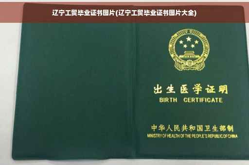 辽宁工贸毕业证书图片(辽宁工贸毕业证书图片大全)