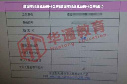 韩国本科毕业证长什么样(韩国本科毕业证长什么样图片)