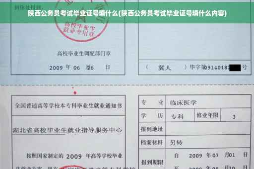陕西公务员考试毕业证号填什么(陕西公务员考试毕业证号填什么内容)