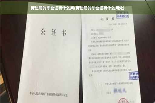 劳动局的毕业证有什么用(劳动局的毕业证有什么用处)