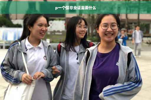 p一个假毕业证需要什么