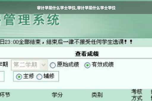 审计学是什么学士学位,审计学是什么学士学位