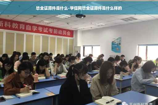 毕业证原件是什么-学信网毕业证原件是什么样的
