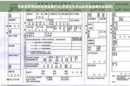 艺术生双学位的毕业证是什么(艺术生双学位的毕业证是什么样的)