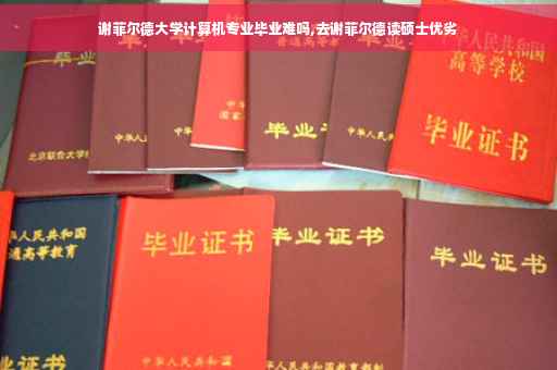 谢菲尔德大学计算机专业毕业难吗,去谢菲尔德读硕士优劣