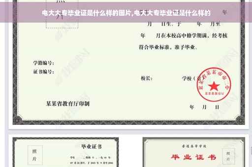 电大大专毕业证是什么样的图片,电大大专毕业证是什么样的