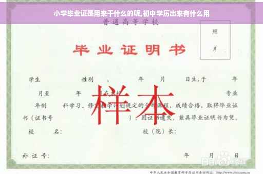 小学毕业证是用来干什么的呢,初中学历出来有什么用