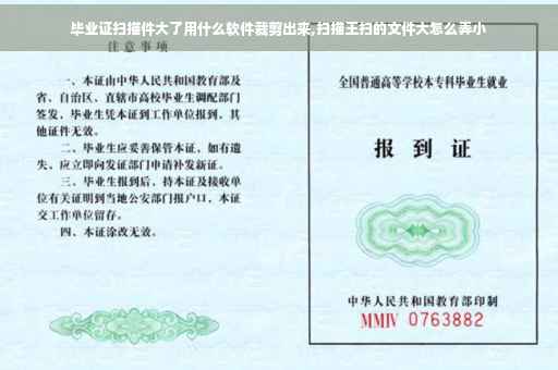 毕业证扫描件大了用什么软件裁剪出来,扫描王扫的文件大怎么弄小