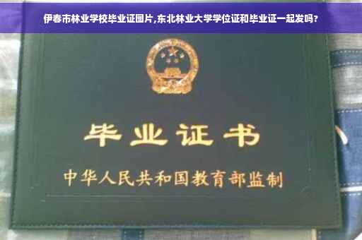 伊春市林业学校毕业证图片,东北林业大学学位证和毕业证一起发吗?