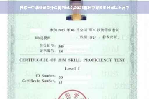 桂东一中毕业证是什么样的图片,2023郴州中考多少分可以上高中