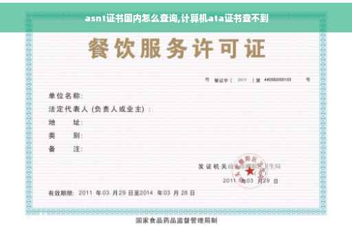 asnt证书国内怎么查询,计算机ata证书查不到