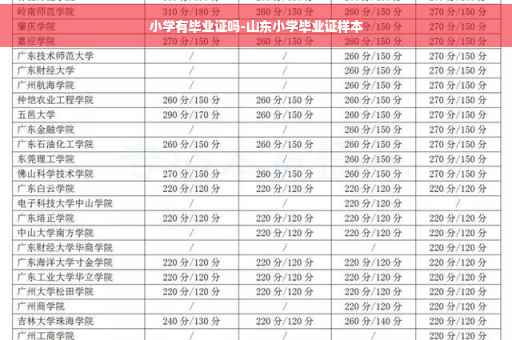 小学有毕业证吗-山东小学毕业证样本