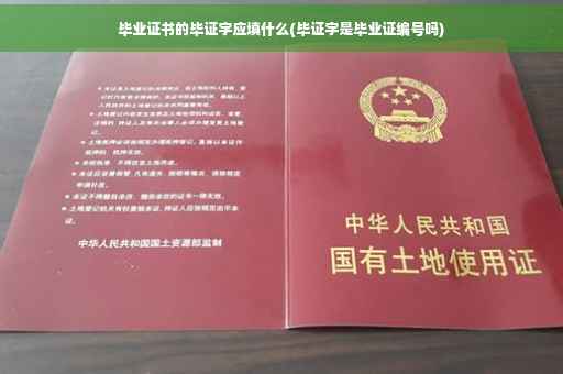 毕业证书的毕证字应填什么(毕证字是毕业证编号吗)