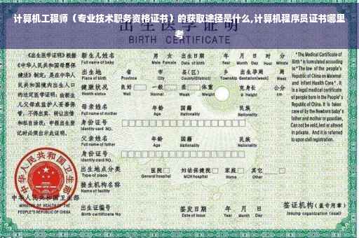计算机工程师（专业技术职务资格证书）的获取途径是什么,计算机程序员证书哪里考
