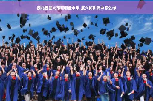 湖北省武穴市有哪些中学,武穴梅川高中怎么样