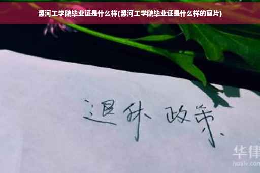 漯河工学院毕业证是什么样(漯河工学院毕业证是什么样的图片)
