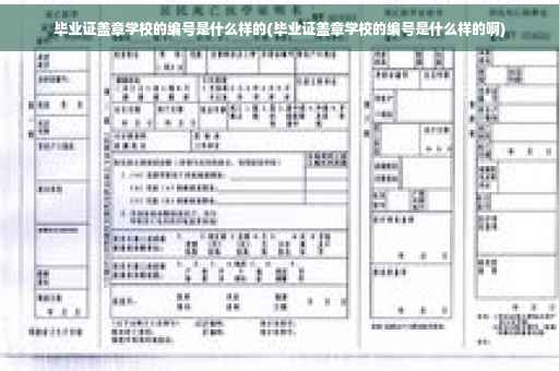 毕业证盖章学校的编号是什么样的(毕业证盖章学校的编号是什么样的啊)