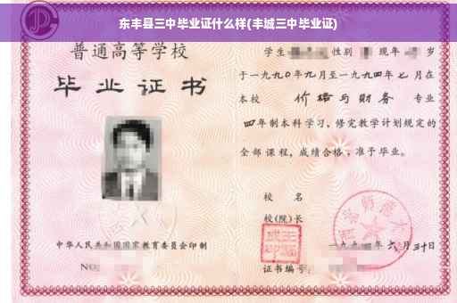 东丰县三中毕业证什么样(丰城三中毕业证)
