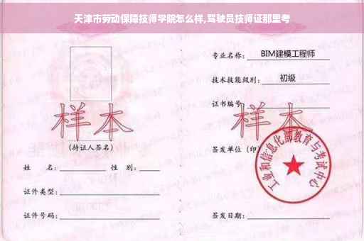 天津市劳动保障技师学院怎么样,驾驶员技师证那里考